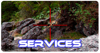 Services